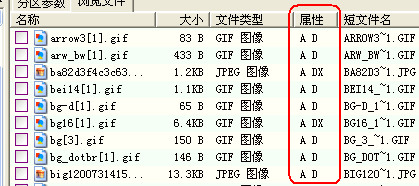 数据恢复教程截图4